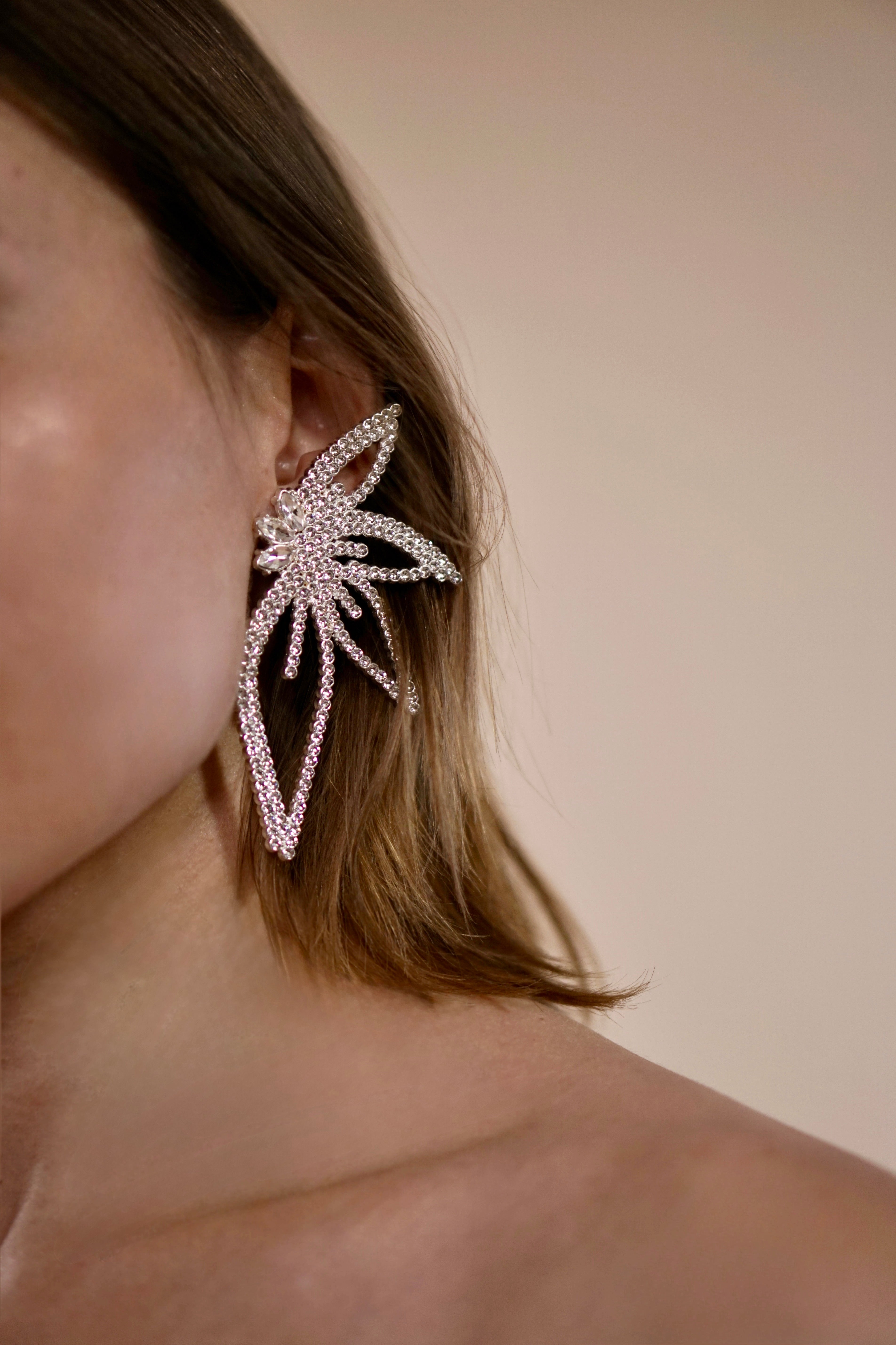 Sharp Winged Silver Earrings