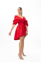 Butterfly Mini Dress