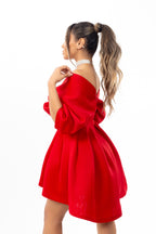 Butterfly Mini Dress