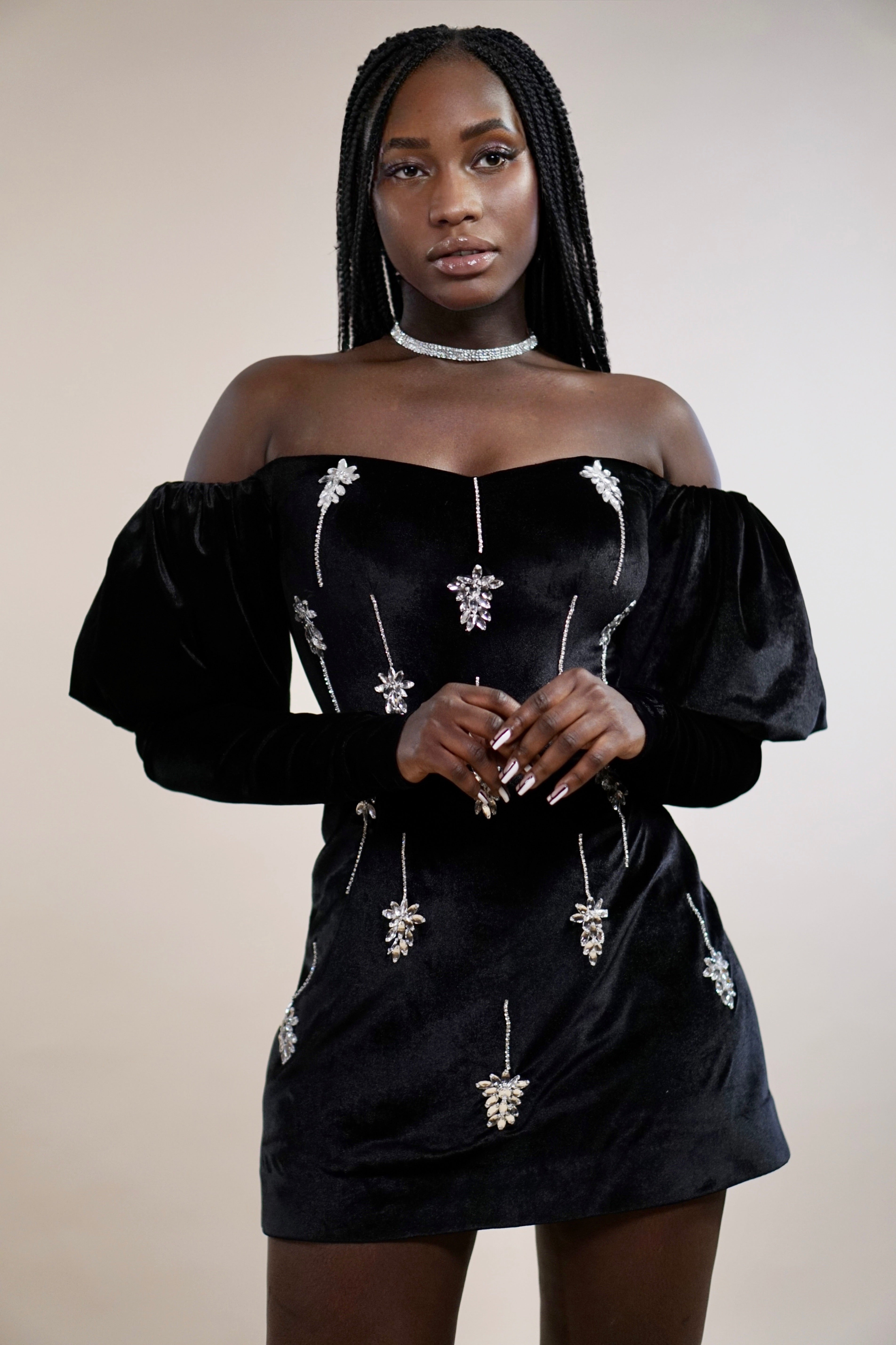 The Velvet Stardust Dress