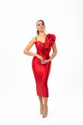 Red Rose Gown